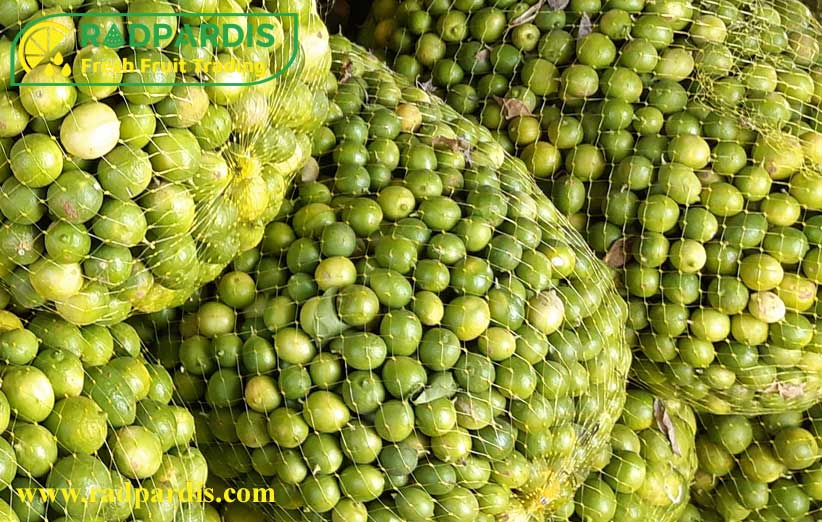 تفاوت لیمو سنگی و لیمو ترش + خواص + مزایا و مضرات مصرف 🍋